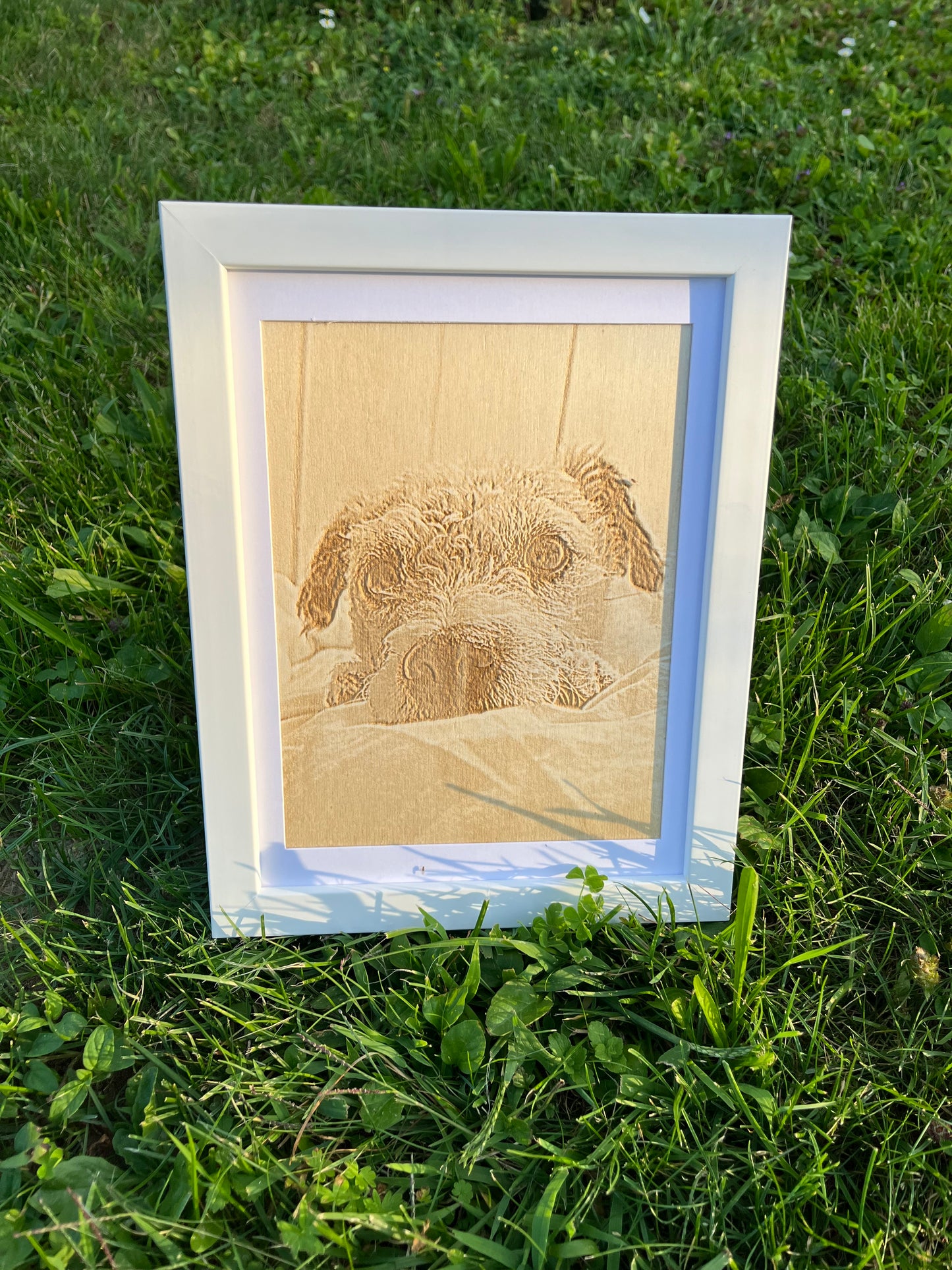 Fotogravur - Pappel 6mm