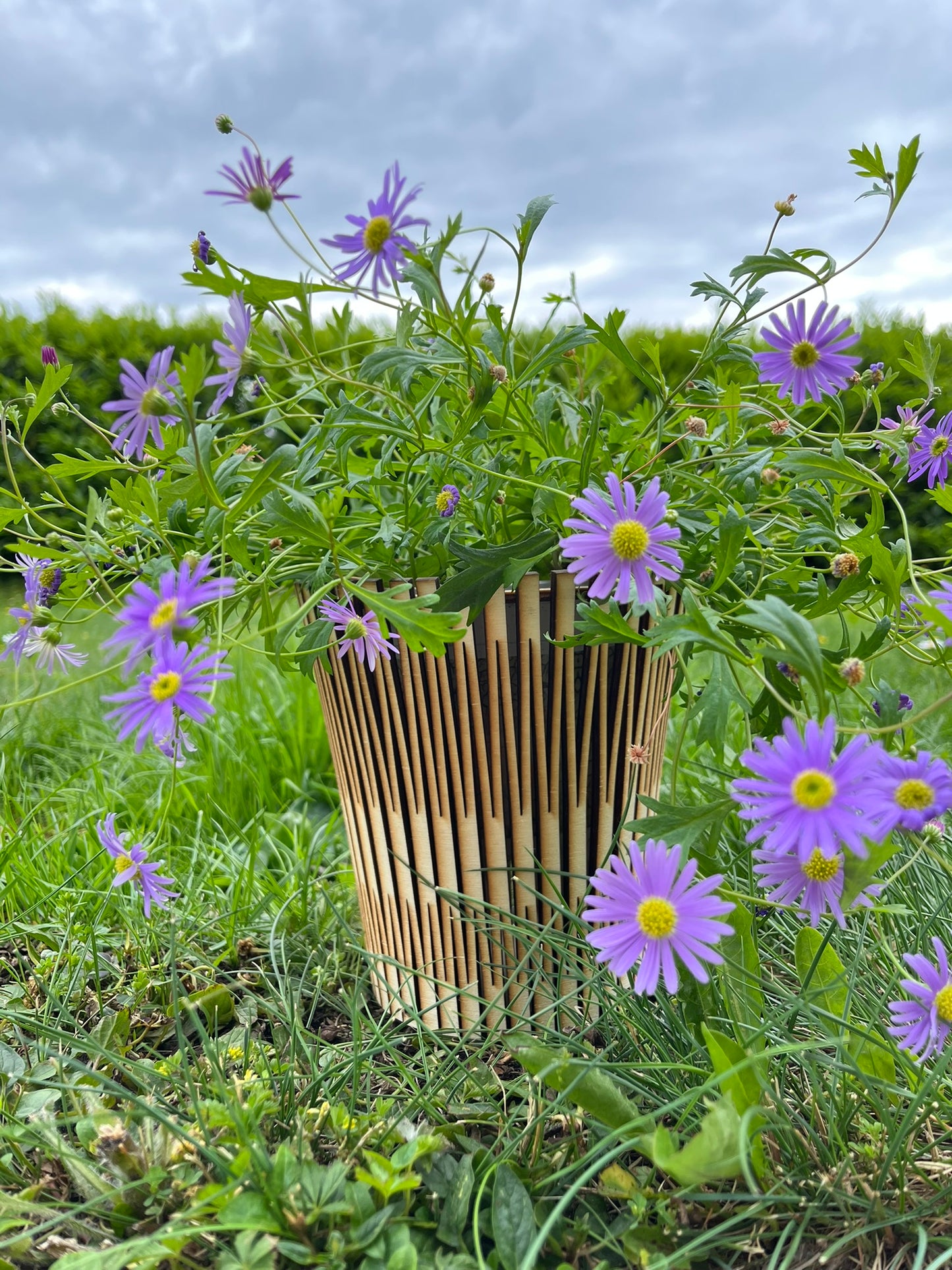 Blumentopf
