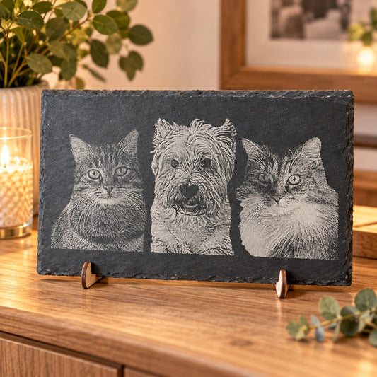 Schieferplatte mit Fotogravur (26 × 16 cm, Naturkante): hellgraue Gravur von zwei Katzen und einem Hund auf dunklem Schiefer, auf kleinen Holzfüßen auf einem hellen Sideboard mit Kerze und Pflanze